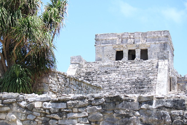 Exploring the Cost of Shuttle Services from Cancun to Tulum / Exploring the Cost of Shuttle Services from Cancun to Tulum